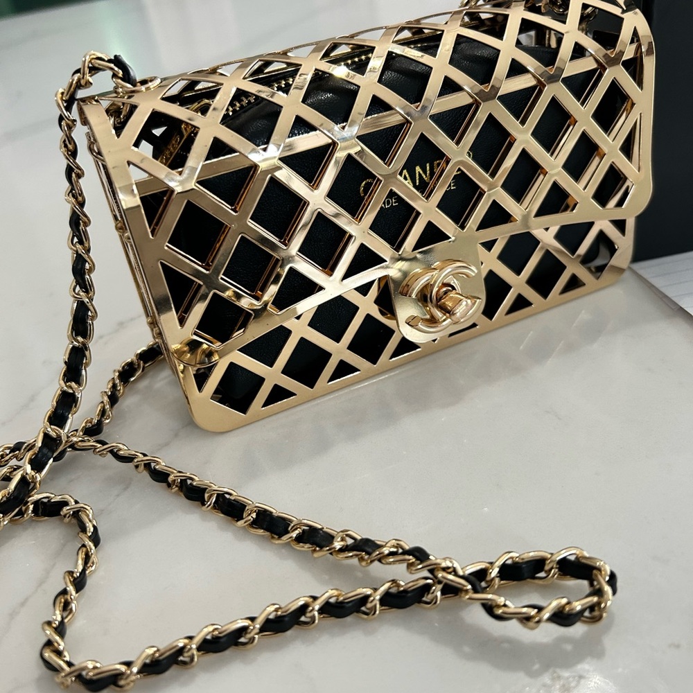 Luxury Cage Bag Soooo Cute